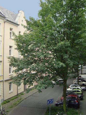 Renovierte 2-Zimmer-Wohnung in der Lange Str. 79 zu vermieten! - Foto 4