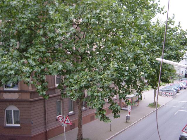 Renovierte 2-Zimmer-Wohnung in der Lange Str. 79 zu vermieten! - Foto 5